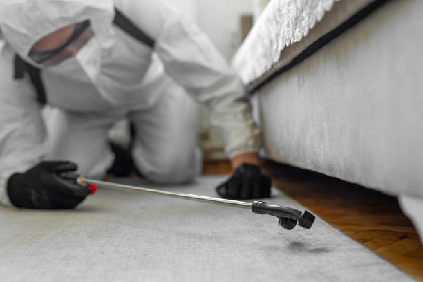 Professional Pest Control technician working in Lea County County, NM